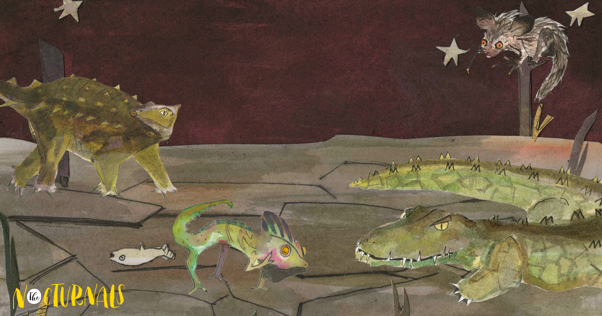 There are hand drawn illustrations of a tuatara, an iguana and a crocodile walking on the ground while a furry animal is perched on a tree branch looking at them. 