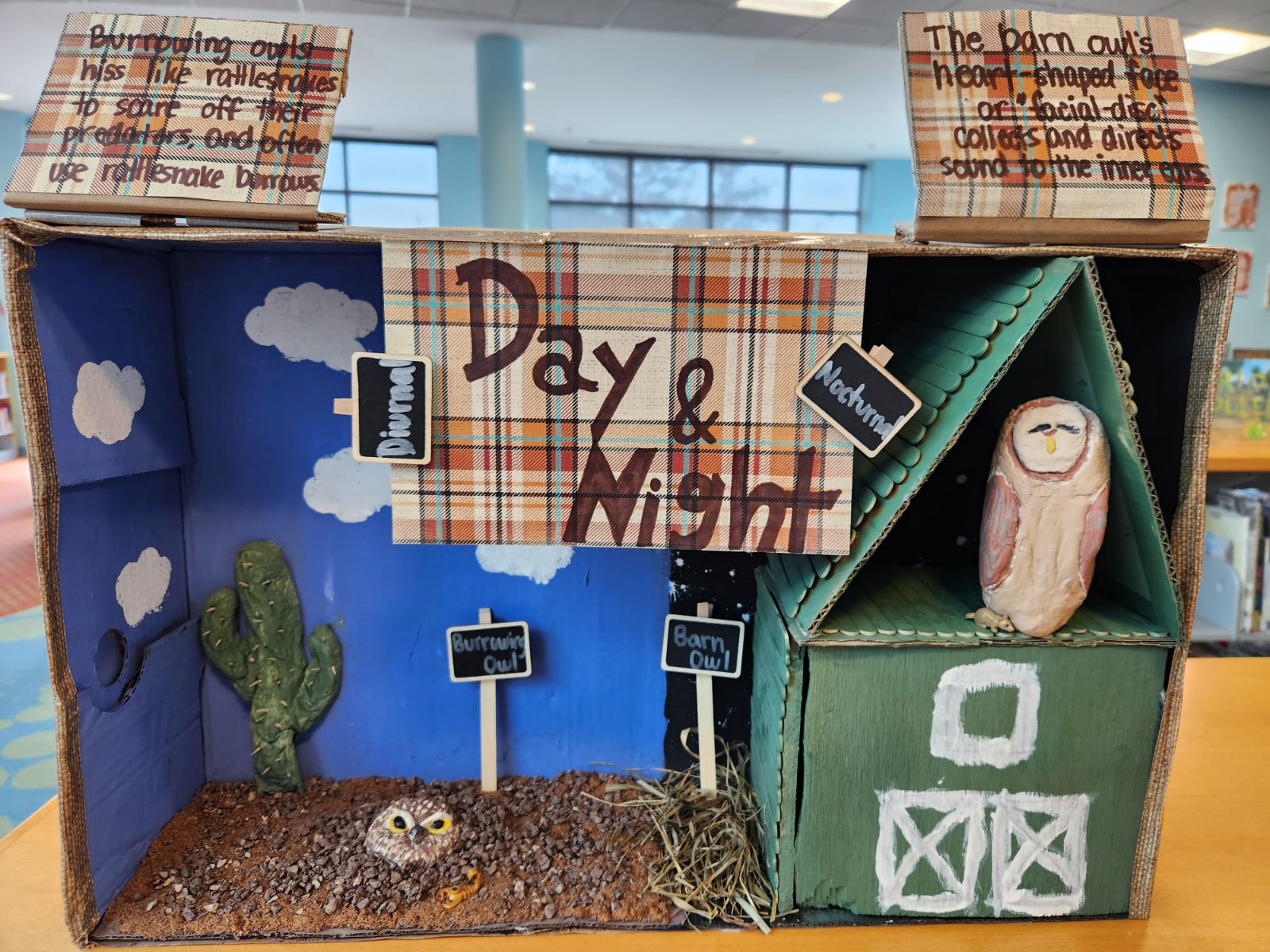 Image shows a completed example of the Nocturnals Habitat Activity: a barn owl diorama made of cardboard.