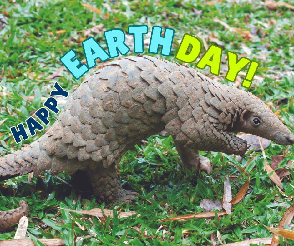 A photo of a pangolin standing on green grass with the text "Happy Earth Day" in the center.
