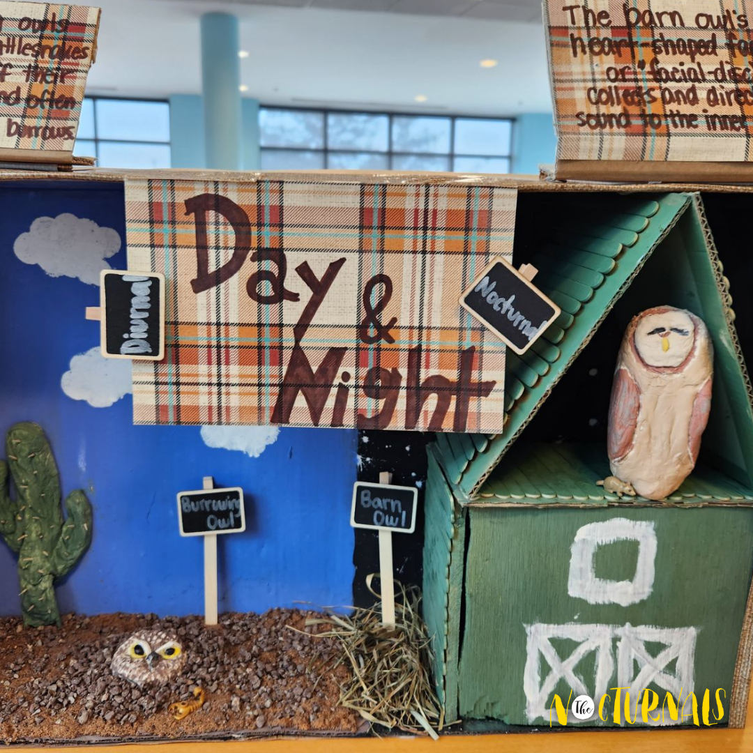 Example of an owl habitat. Photo provided by Pickaway County Library.