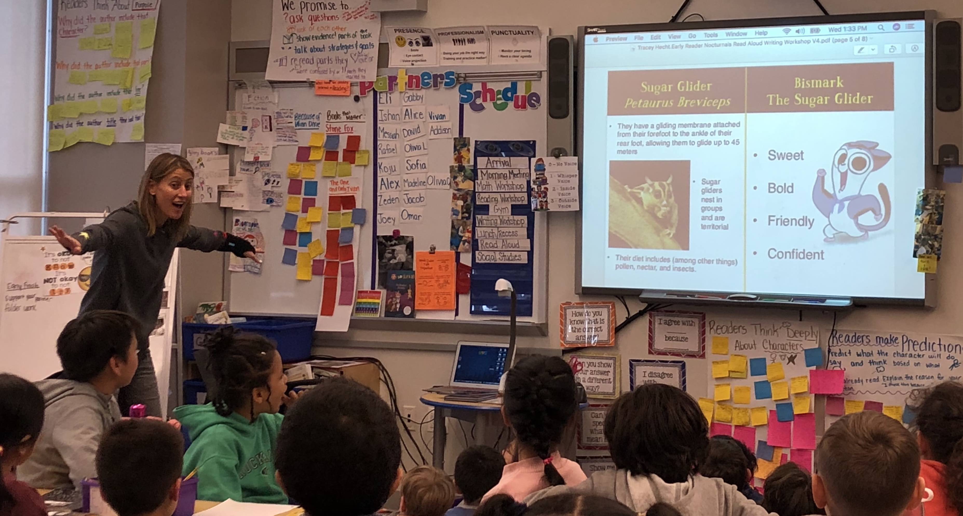 Tracey Hecht, the author of The Nocturnals, is demonstrating how sugar gliderâ€™s wings work in a classroom who is looking at sugar glider facts presented on a projector screen. 