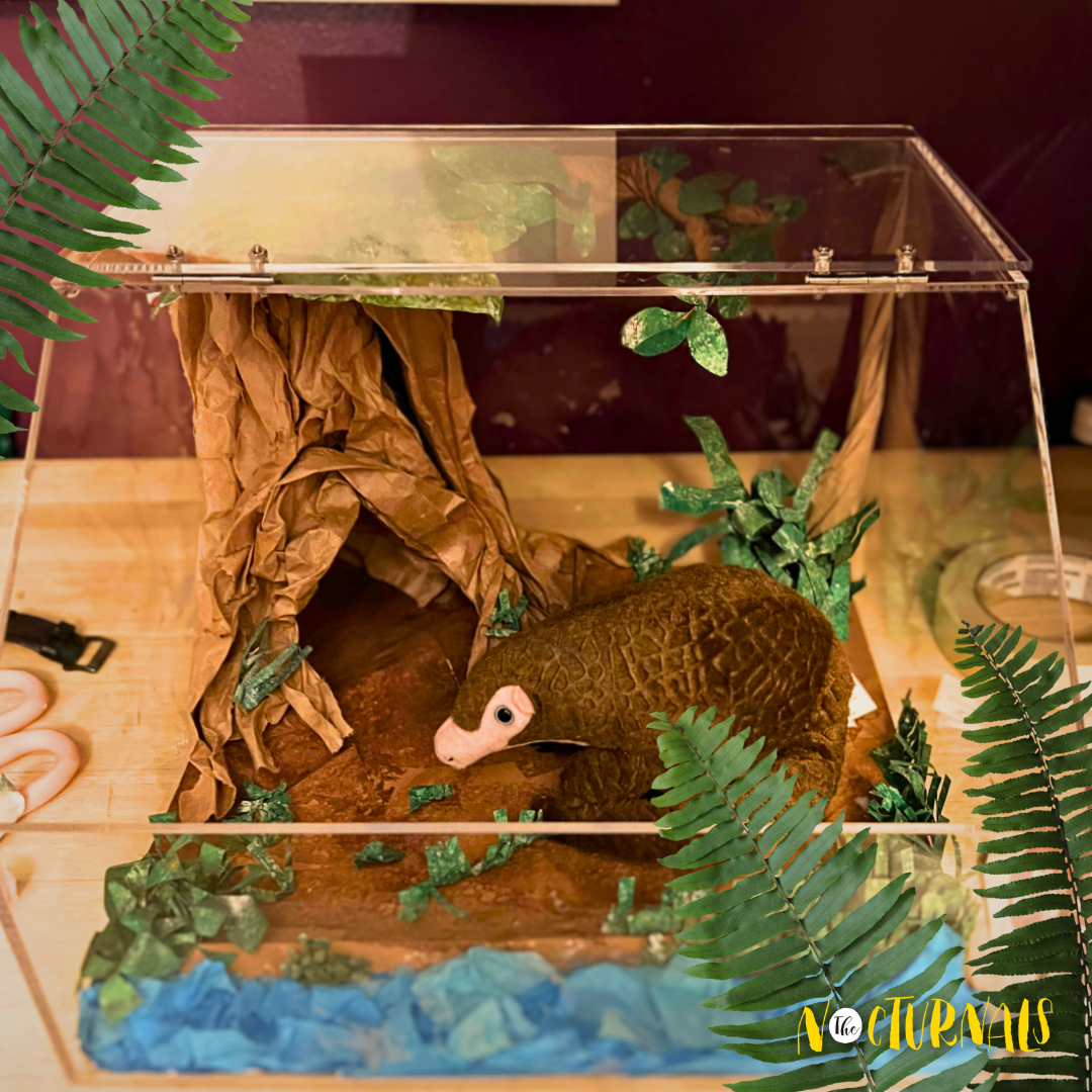 Example of a pangolin habitat