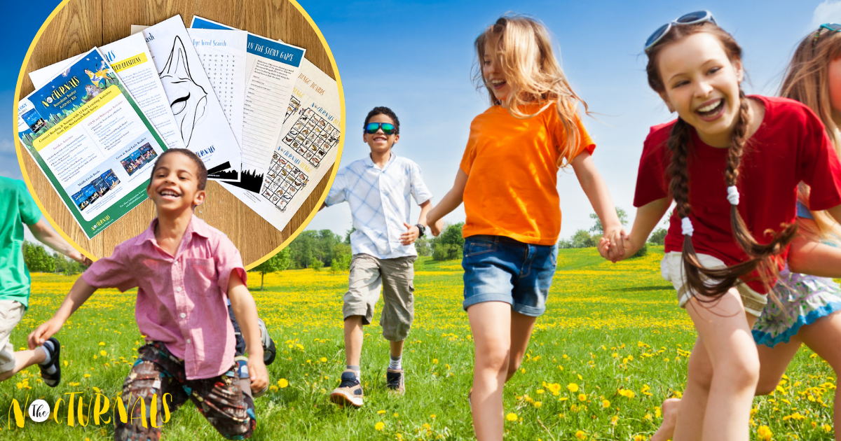 Fun, Boredom-Busting Activities from The Nocturnals!