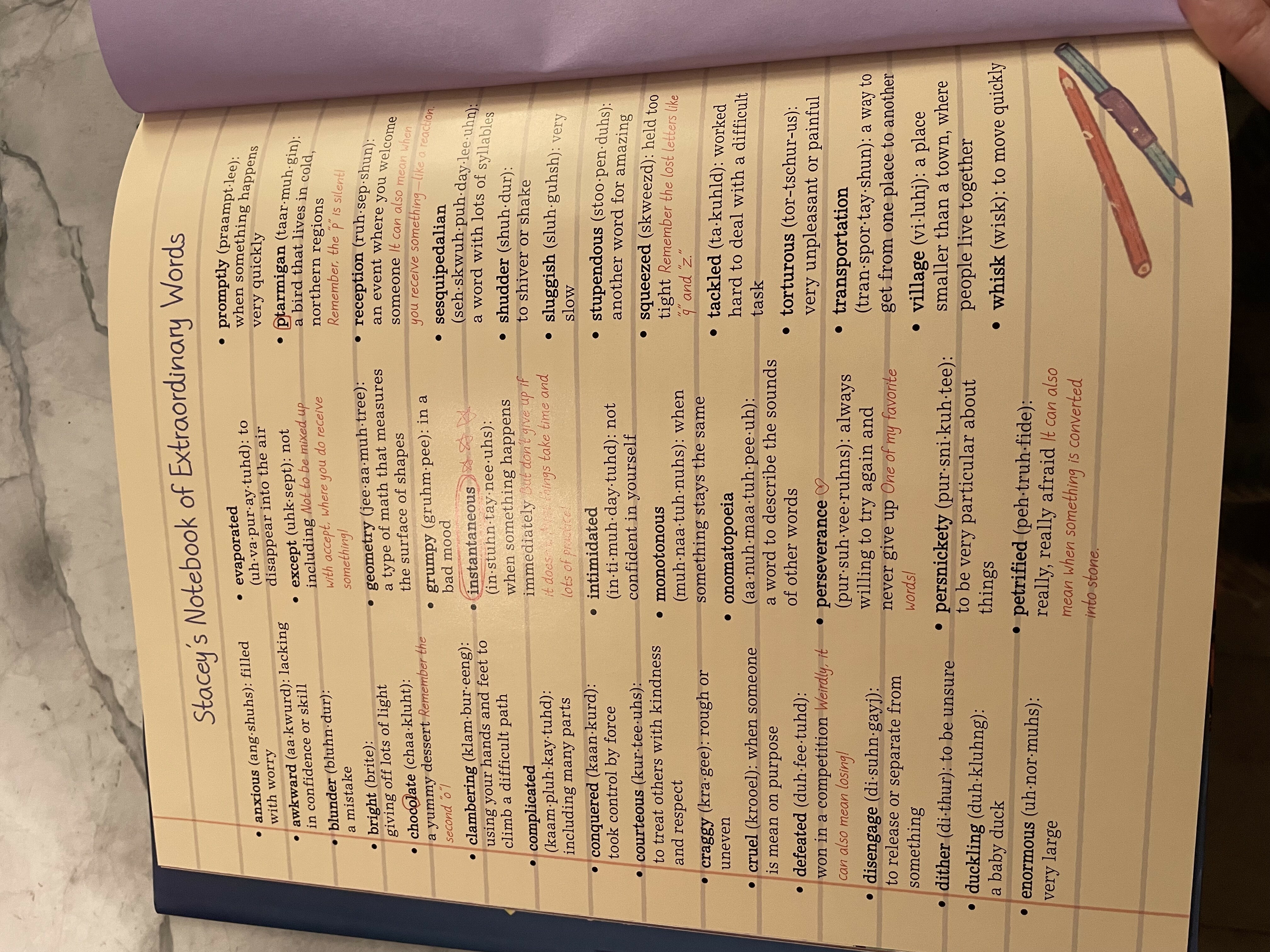 This picture shows a page of Stacey Abramsâ€™ book, Staceyâ€™s Extraordinary Words, where readers can learn some of the extraordinary words the main character Stacey learned. 