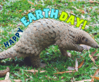 3 Easy Ways to Protect Wildlife on Earth Day!