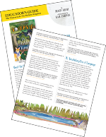 The Educator’s Common Core Language Arts Guide for The Nocturnals: The Hidden Kingdom includes middle grade activities such as classroom discussion questions and a printable acrostic poem writing activity. 